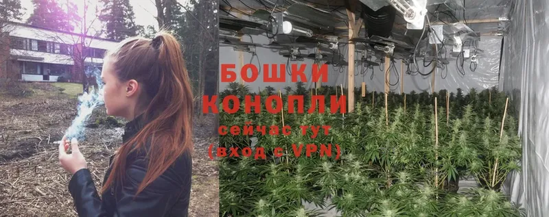 Каннабис Ganja  закладки  ОМГ ОМГ как зайти  Курильск 